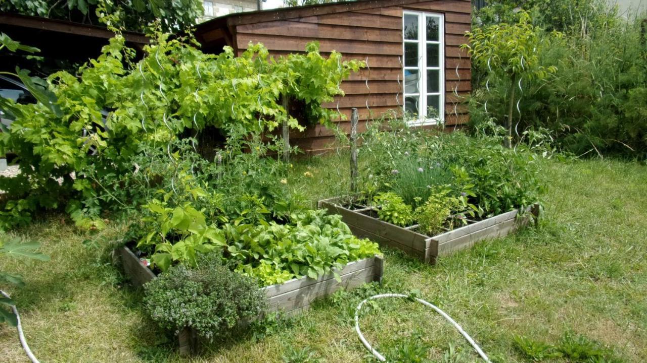 Maison LINDA Ch. d'hôte Grateloup Eksteriør billede
